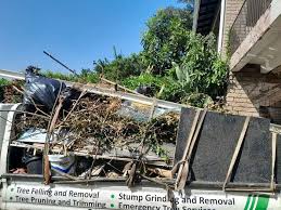 Best Basement Cleanout  in Thunderbolt, GA