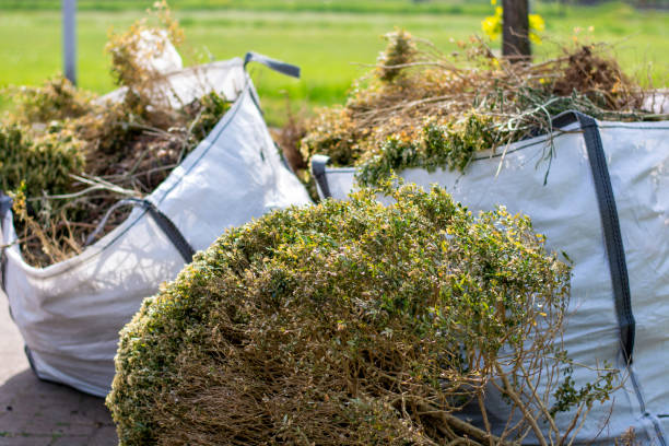 Demolition Debris Removal in Thunderbolt, GA